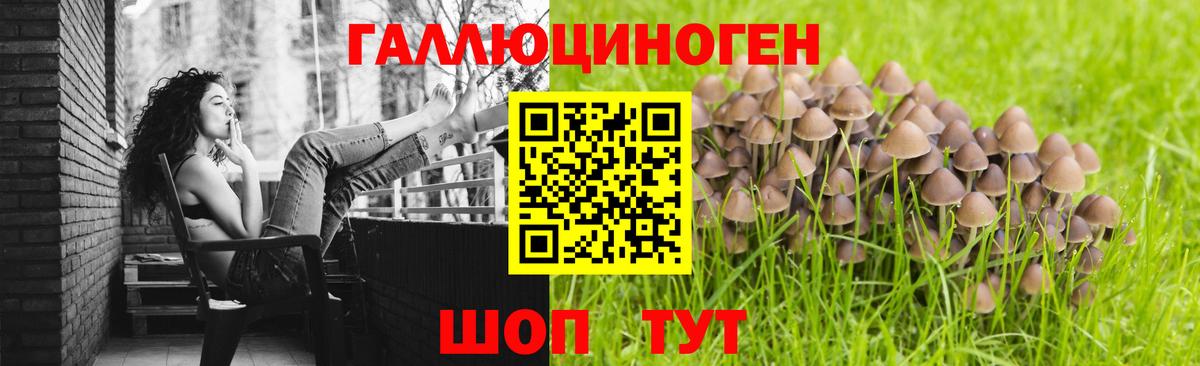 Галлюциногенные грибы Psilocybine cubensis Шадринск