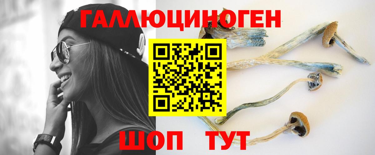 Шадринск  Галлюциногенные грибы ЛСД  Вход с VPN 